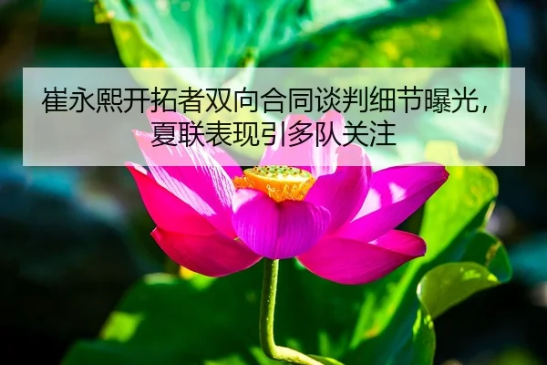 崔永熙开拓者双向合同谈判细节曝光，夏联表现引多队关注