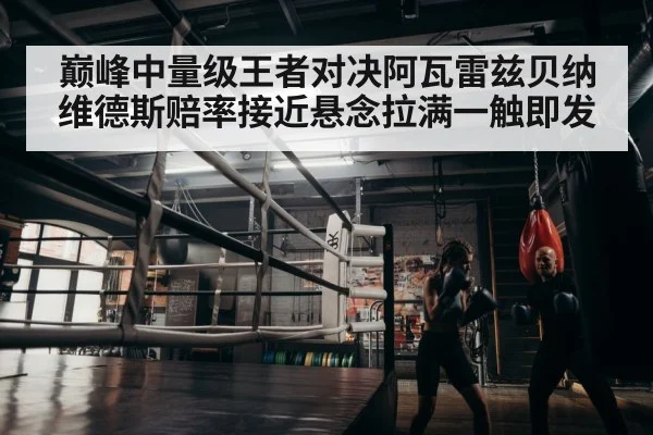 boxer training
