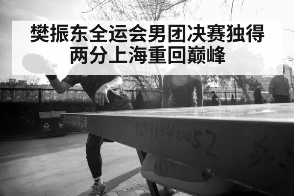 樊振东全运会男团决赛独得两分上海重回巅峰